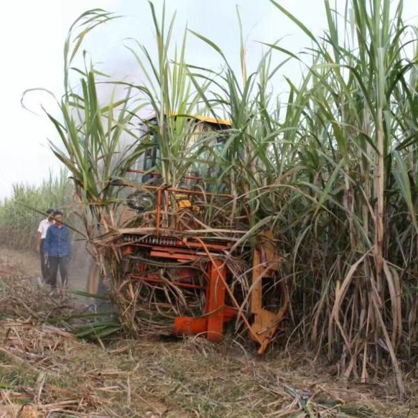 Sugar Cane Cutter Balfront Industries and Equipment Corporation Sugar Cane Cutter Balfront Industries and Equipment Corporation